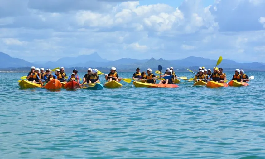 Brunswick River Kayaking Nature Tour, 2.5 Hours
