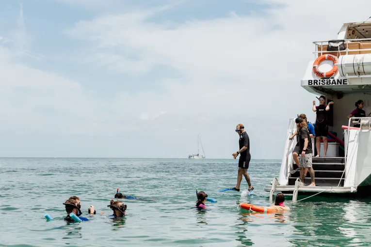 Eco Marine Safari Cruise and Snorkel - Full Day - Moreton Island