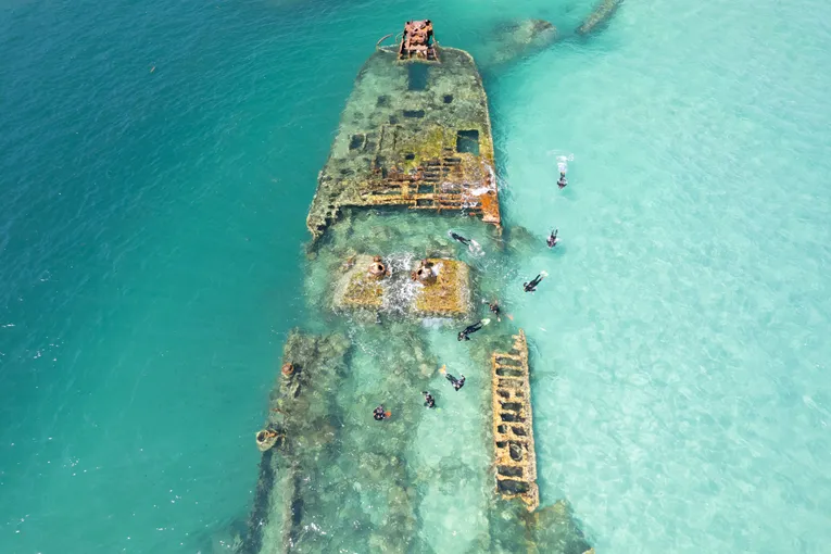 Eco Marine Safari Cruise and Snorkel - Full Day - Moreton Island