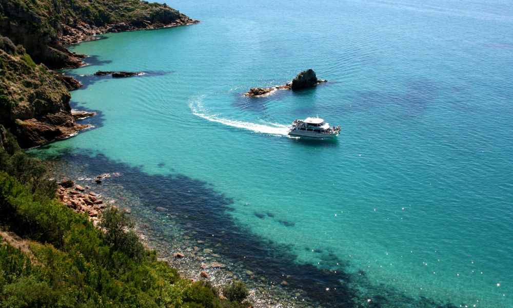 Cape Woolamai Cruise - Phillip Island - 1 Hour