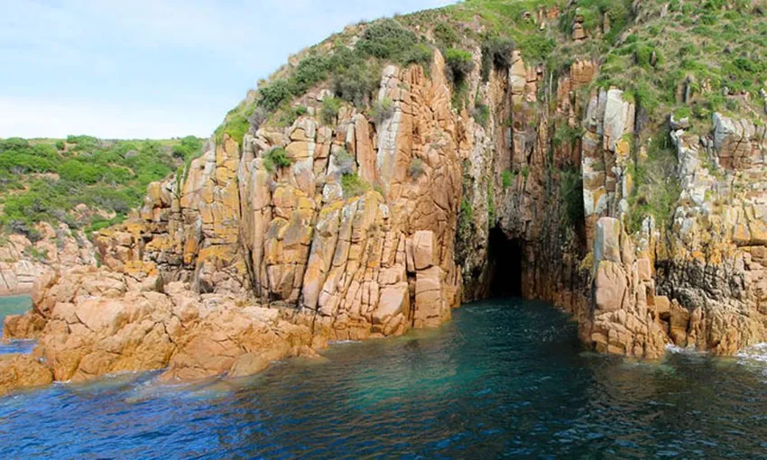 Cape Woolamai Cruise - Phillip Island - 1 Hour