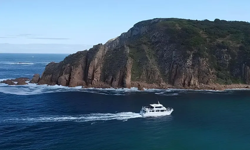 Cape Woolamai Cruise - Phillip Island - 1 Hour