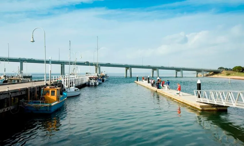 Cape Woolamai Cruise - Phillip Island - 1 Hour