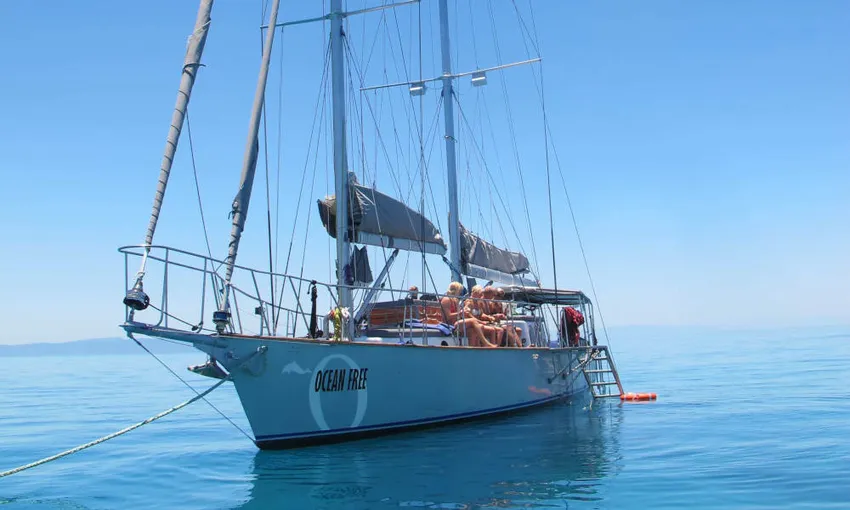 Green Island Sailing Cruise - Full Day