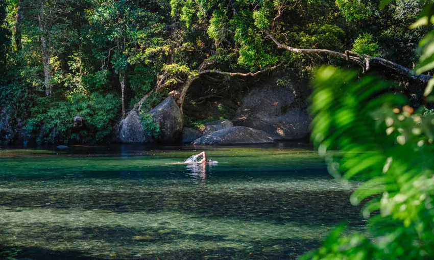 Rainforest & Waterfalls Adventure in Cairns - Full Day