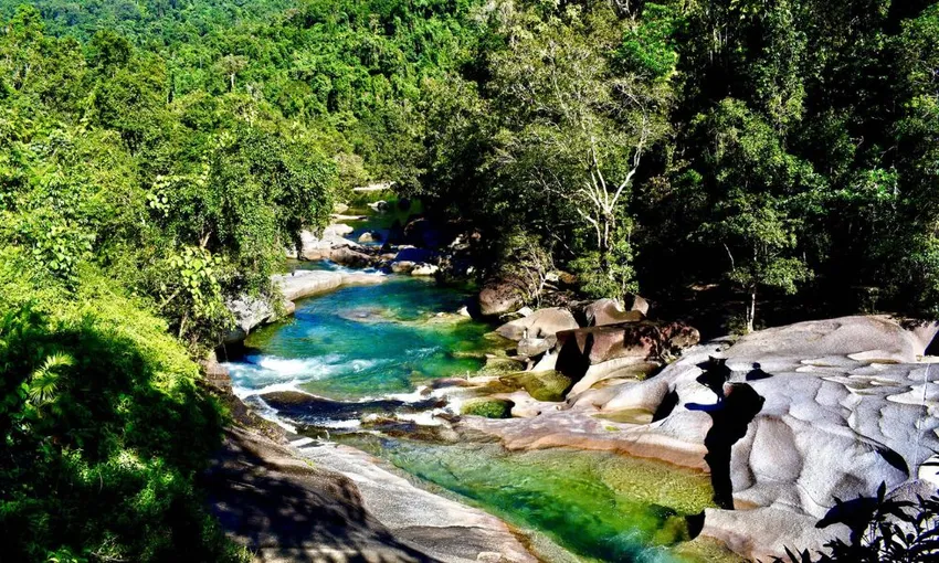 Rainforest & Waterfalls Adventure in Cairns - Full Day