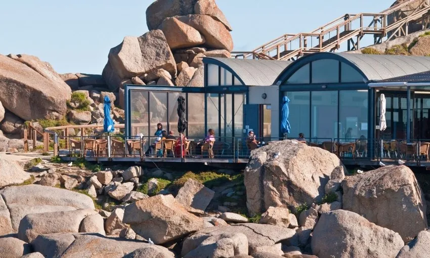 Victor Harbor Seal Island Tour 