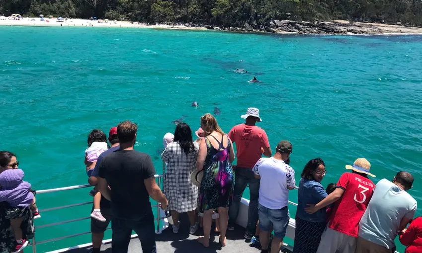 Jervis Bay Dolphin Spotting Cruise, 90 Minutes