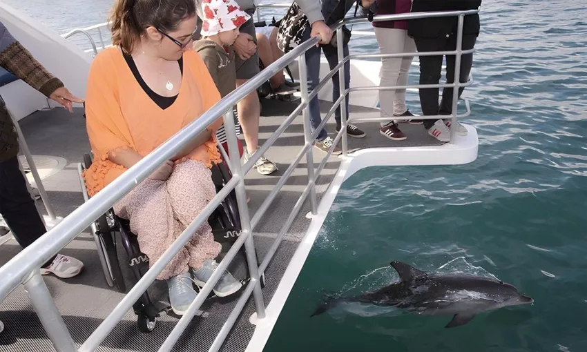 Jervis Bay Dolphin Spotting Cruise, 90 Minutes