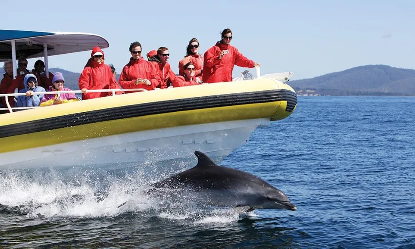 Bruny Island Cruise with Transfers from Kettering