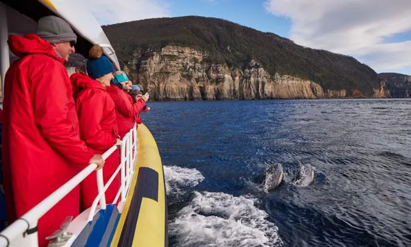 Bruny Island Cruise with Transfers from Kettering