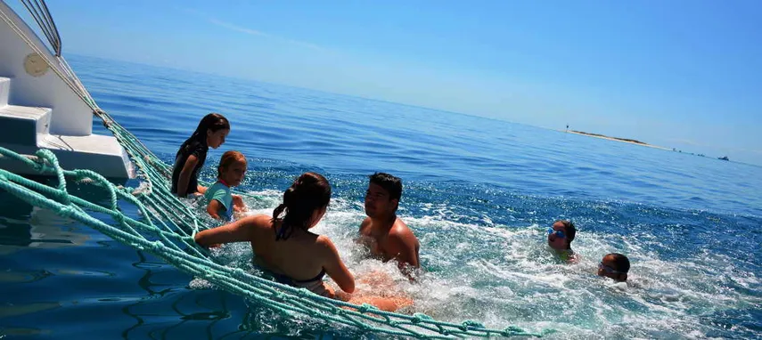 Fraser Island Sailing Adventure From Hervey Bay - 4 Hours 