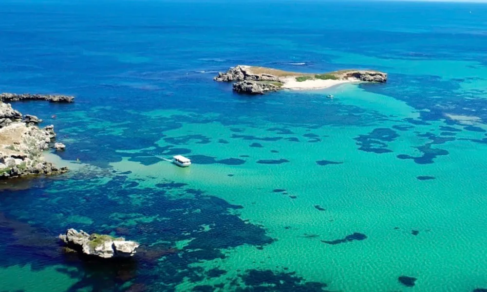 Penguin Island Wildlife Cruse | Experience Oz-1