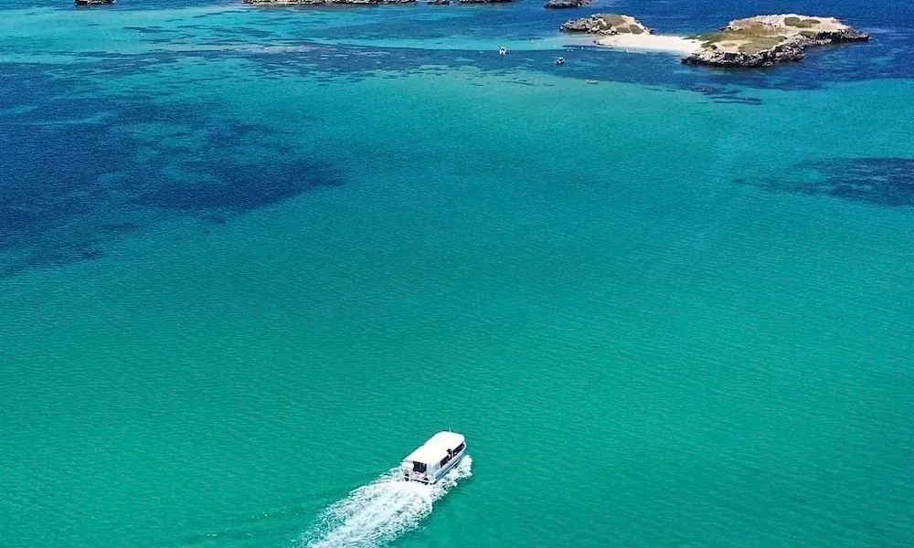 Penguin Island Wildlife Cruse | Experience Oz-6