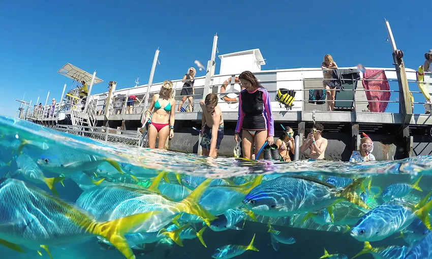 Great Barrier Reef Cruise with Snorkelling - Cairns