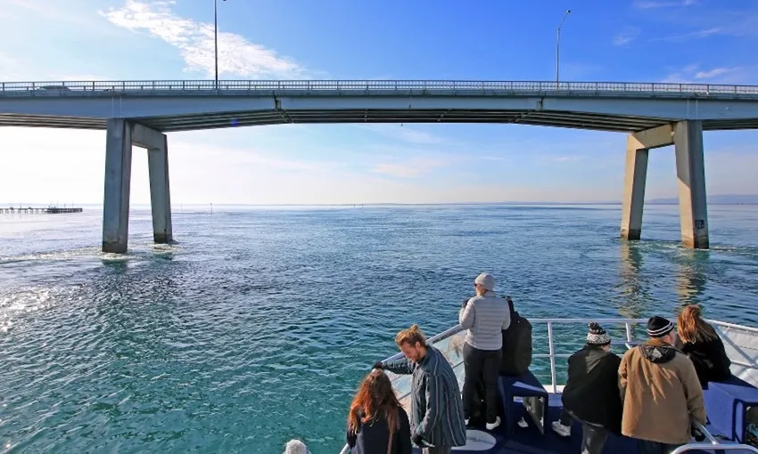 Wilsons Promontory National Park Day Cruise, 8 Hours