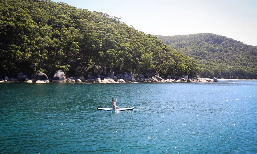 Wilsons Promontory National Park Day Cruise, 8 Hours