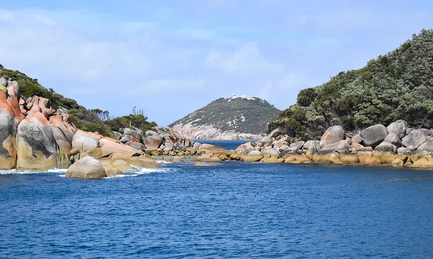 Wilsons Promontory National Park Day Cruise, 8 Hours