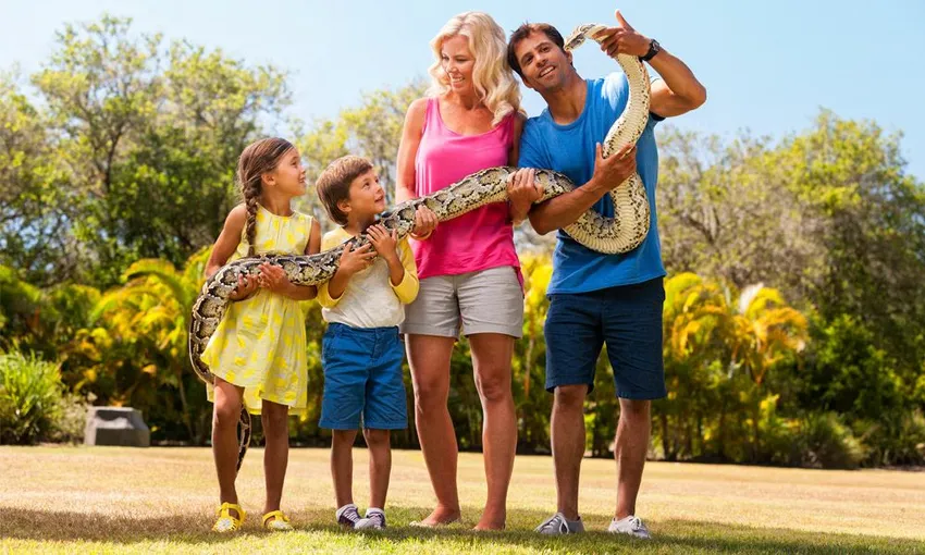 Australia Zoo Entry with Transfers From Brisbane