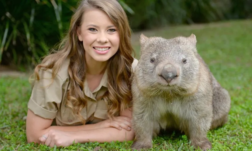 Australia Zoo Entry with Transfers From Brisbane