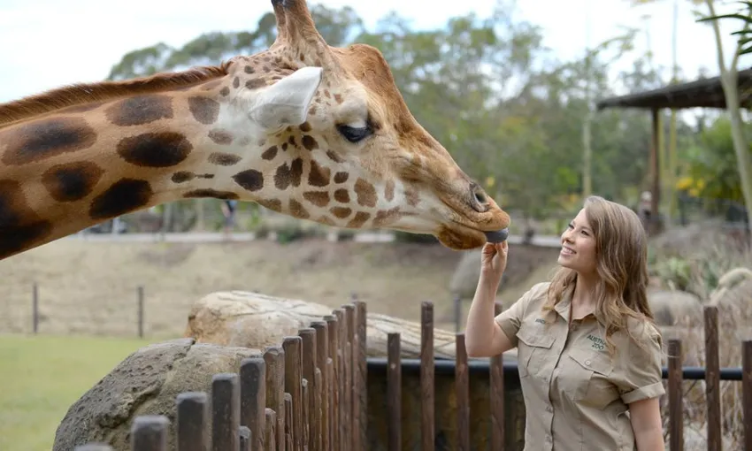 Australia Zoo Entry with Transfers From Brisbane