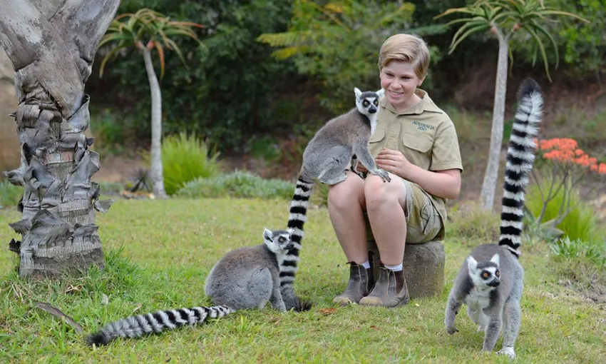 Australia Zoo Entry with Transfers From Brisbane