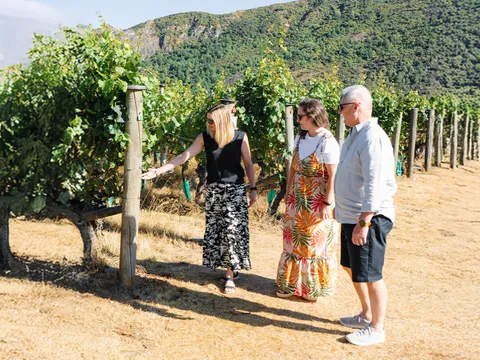 Half Day Boutique Wine Tour ex Queenstown