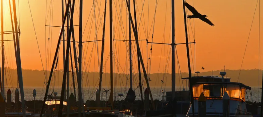Milbi Sunset Eco Tour on the Great Sandy Straits - 90 Minutes