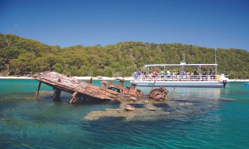 Tangalooma Day Trip with Marine Discovery Cruise