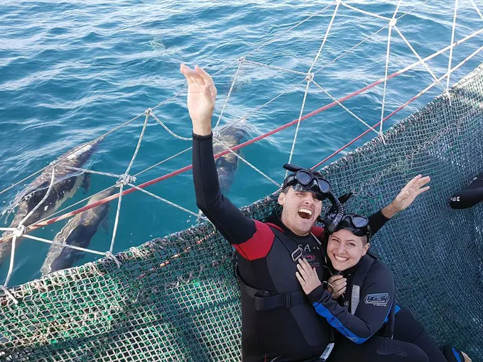 Wild Dolphin Swim - Nelson Bay, Port Stephens