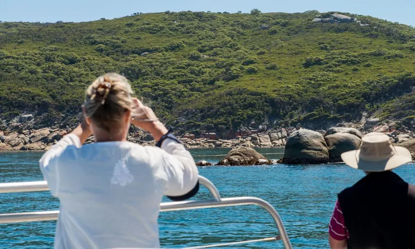  Wilsons Promontory Scenic Whale Watching Cruise