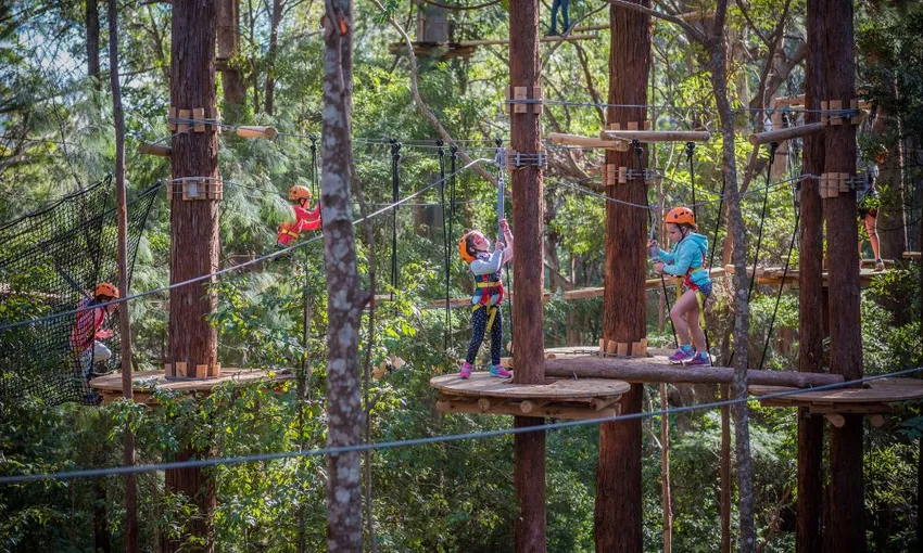High Ropes Climbing Course with Flying Foxes - Coffs Harbour