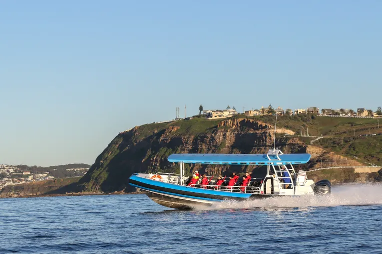 Newcastle Whale Watching Cruise, 2 Hours