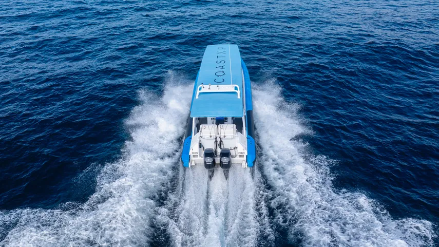 Newcastle Whale Watching Cruise, 2 Hours 