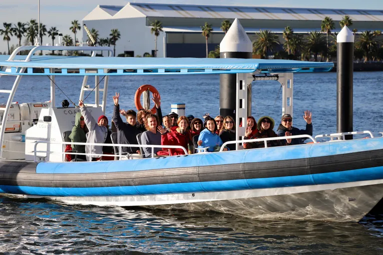 Newcastle Whale Watching Cruise, 2 Hours 