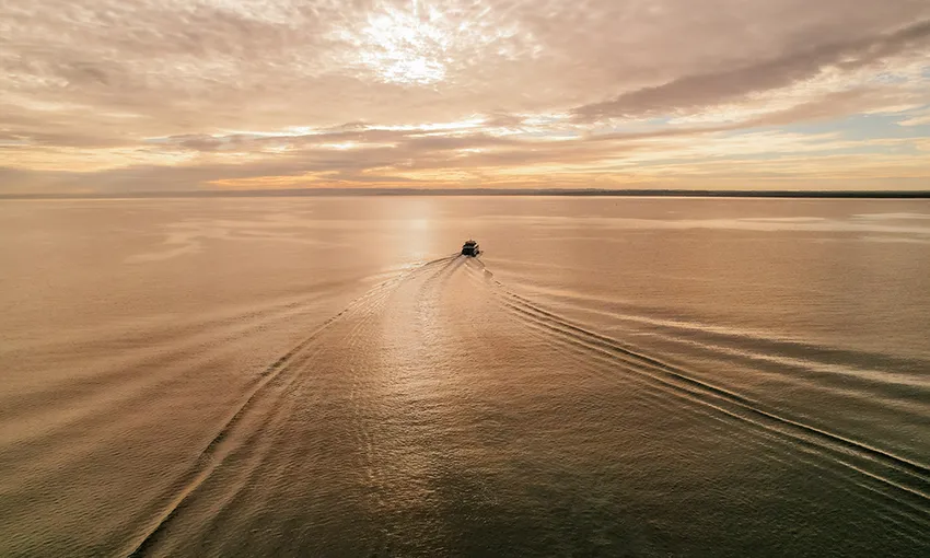 Phillip Island Twilight Bay Cruise, 1.5 Hours