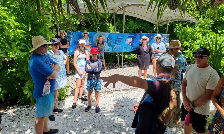 Lady Musgrave Island Cruise and Day Tour