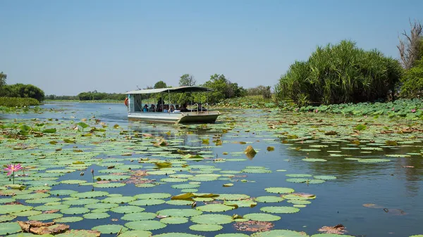 Darwin Wetland Wildlife Cruise, 1.5 Hours
