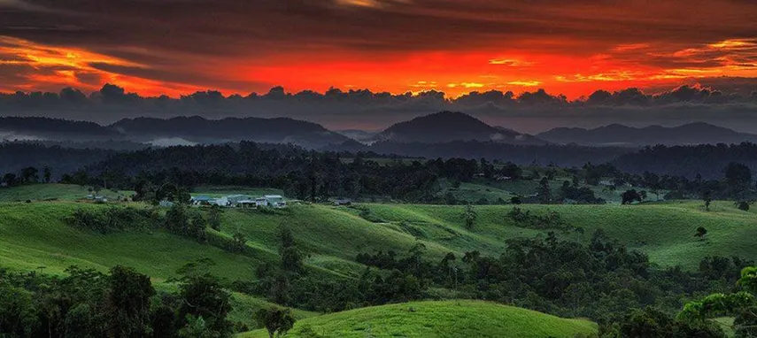 Australian Outback Food Tasting Tour - Cairns