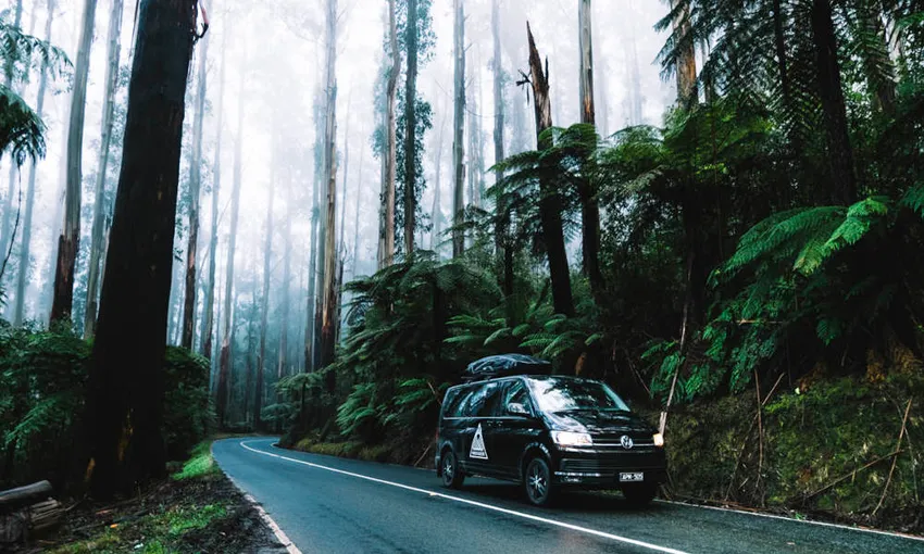 Great Ocean Road, Otways Tour And Hike, Full Day - Melbourne