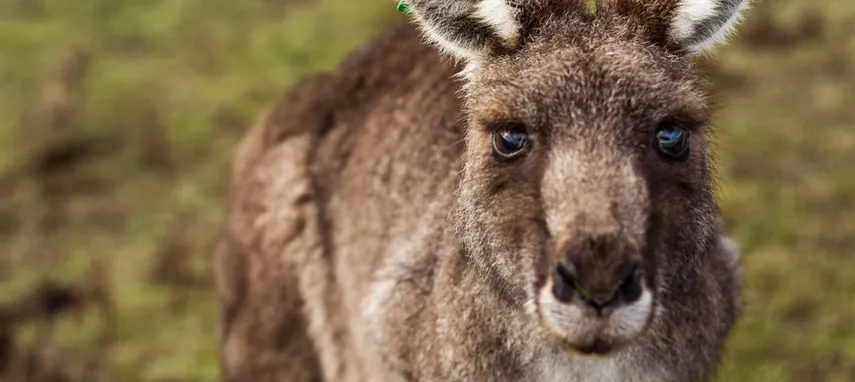 The Grampians Day Tour with Hiking - Departs Melbourne