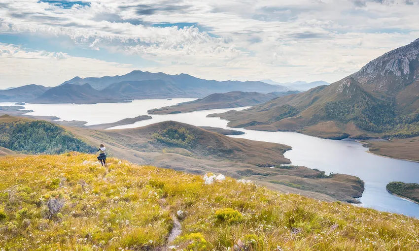 Southwest National Park Full Day Tour with Flights & Cruise 