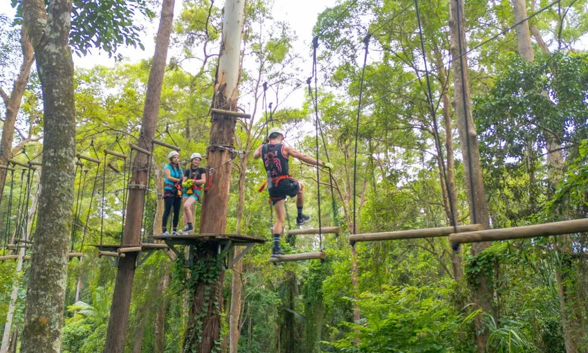 Sunshine Coast High Ropes Adventure - 3 Hours