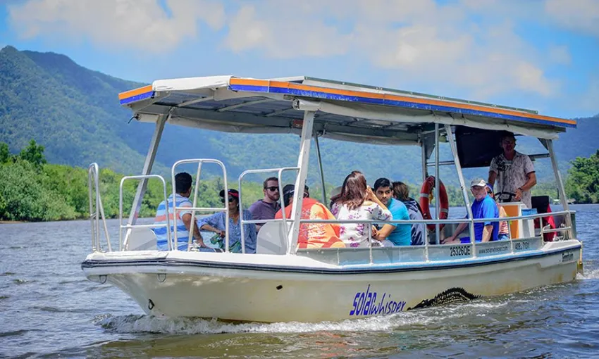 Daintree Rainforest Afternoon Cruise and Nocturnal Tour, 9.5 Hours - Cairns