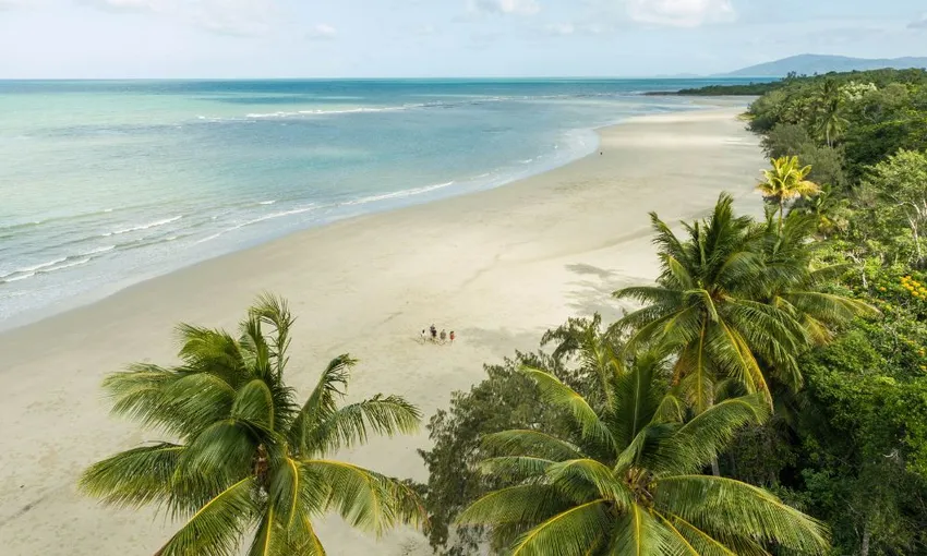 Daintree Rainforest Afternoon Cruise and Nocturnal Tour, 9.5 Hours - Cairns