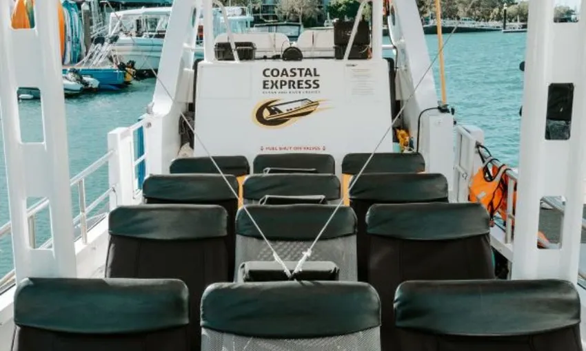 Mooloolaba Turtle Tour - 90 Minutes - Sunshine Coast