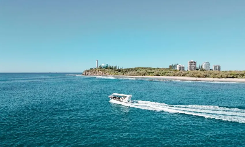 Mooloolaba Turtle Tour - 90 Minutes - Sunshine Coast