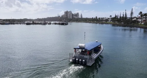 Mooloolaba Turtle Tour with Boat Adventure - 90 Minutes