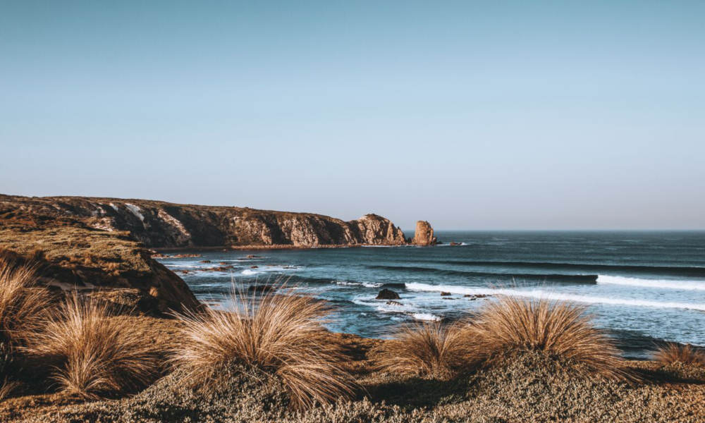 Phillip Island Day Tour with Hike - Departs Melbourne