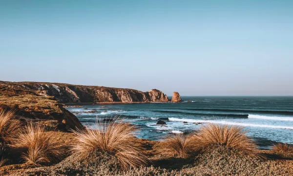 Phillip Island Day Tour with Hike - Departs Melbourne